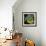 Nature Fan, Coconut Color-Belen Mena-Framed Giclee Print displayed on a wall