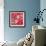 Nature Fan, Fish Color-Belen Mena-Framed Giclee Print displayed on a wall