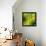 Nature Fan, Green Leaves Color-Belen Mena-Framed Premier Image Canvas displayed on a wall