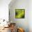 Nature Fan, Green Leaves Color-Belen Mena-Framed Premier Image Canvas displayed on a wall