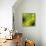 Nature Fan, Green Leaves Color-Belen Mena-Framed Premier Image Canvas displayed on a wall