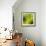 Nature Fan, Green Leaves Color-Belen Mena-Framed Giclee Print displayed on a wall