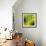 Nature Fan, Green Leaves Color-Belen Mena-Framed Giclee Print displayed on a wall