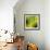 Nature Fan, Green Leaves Color-Belen Mena-Framed Giclee Print displayed on a wall