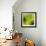 Nature Fan, Green Leaves Color-Belen Mena-Framed Giclee Print displayed on a wall