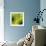 Nature Fan, Green Leaves Color-Belen Mena-Framed Giclee Print displayed on a wall