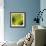 Nature Fan, Green Leaves Color-Belen Mena-Framed Giclee Print displayed on a wall