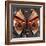 Nature Fan, Moth Color-Belen Mena-Framed Giclee Print