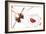 Nature Fan, Moth-Belen Mena-Framed Giclee Print