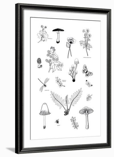 Nature Gathering-Clara Wells-Framed Giclee Print