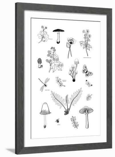 Nature Gathering-Clara Wells-Framed Giclee Print