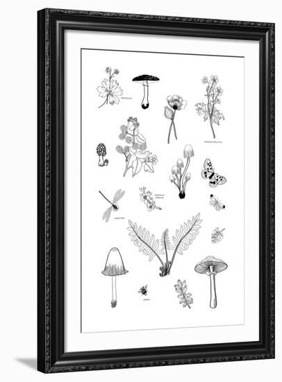 Nature Gathering-Clara Wells-Framed Giclee Print