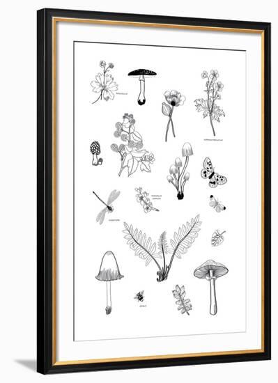 Nature Gathering-Clara Wells-Framed Giclee Print