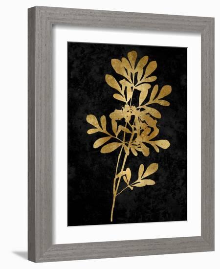 Nature Gold on Black II-Danielle Carson-Framed Art Print