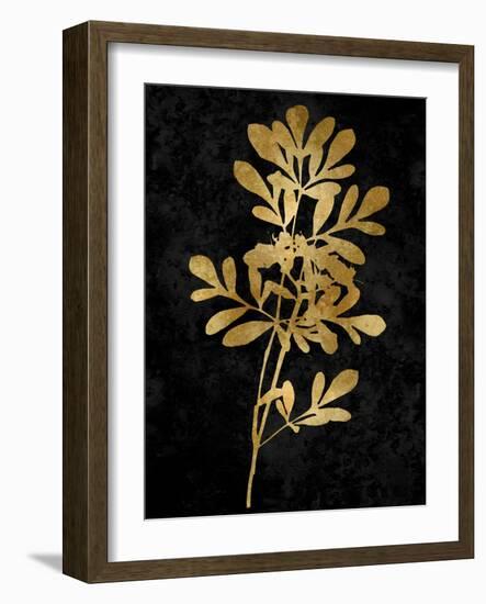 Nature Gold on Black II-Danielle Carson-Framed Art Print