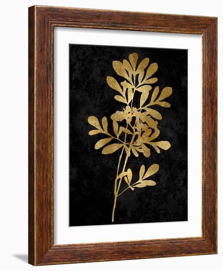 Nature Gold on Black II-Danielle Carson-Framed Art Print