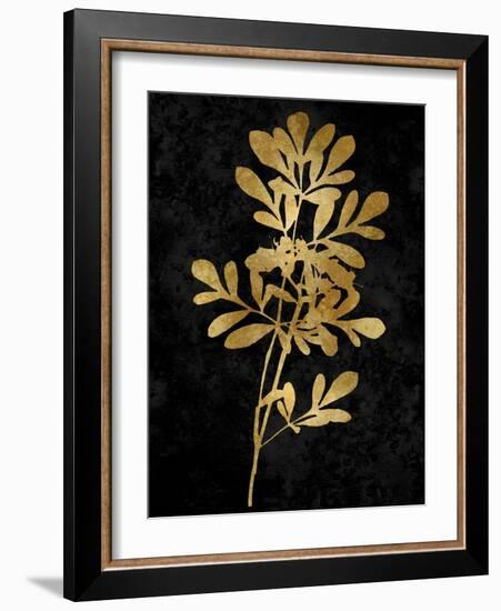 Nature Gold on Black II-Danielle Carson-Framed Art Print