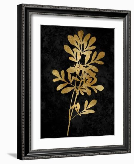 Nature Gold on Black II-Danielle Carson-Framed Art Print