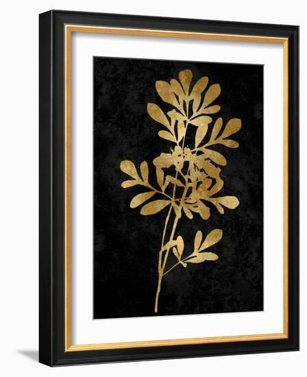 Nature Gold on Black II-Danielle Carson-Framed Art Print