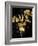 Nature Gold on Black III-Danielle Carson-Framed Art Print