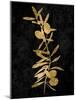 Nature Gold on Black IV-Danielle Carson-Mounted Art Print