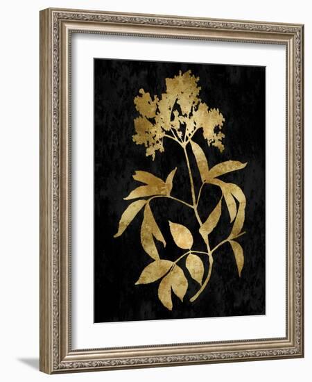 Nature Gold on Black V-Danielle Carson-Framed Art Print