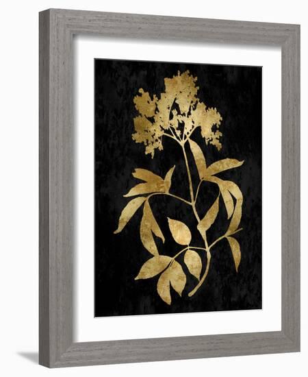 Nature Gold on Black V-Danielle Carson-Framed Art Print