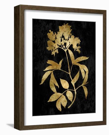 Nature Gold on Black V-Danielle Carson-Framed Art Print