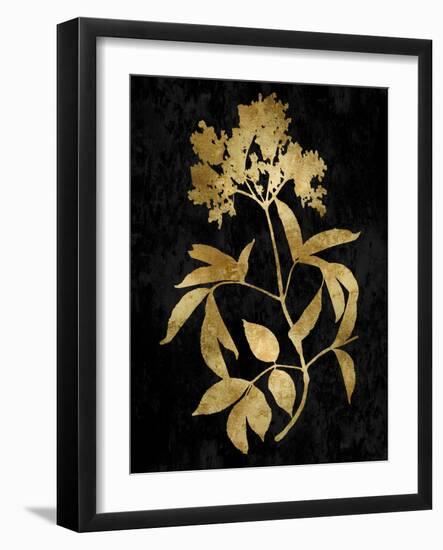 Nature Gold on Black V-Danielle Carson-Framed Art Print