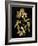 Nature Gold on Black V-Danielle Carson-Framed Art Print