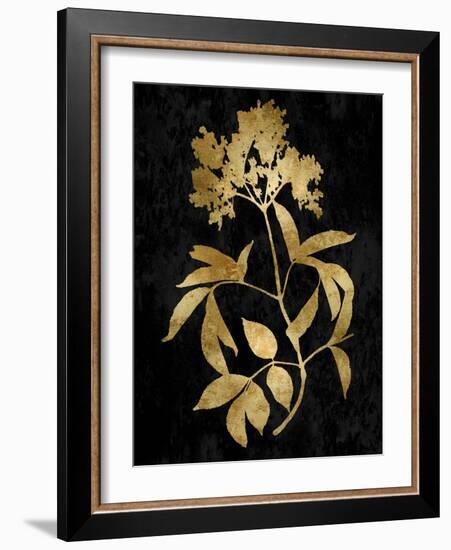 Nature Gold on Black V-Danielle Carson-Framed Art Print