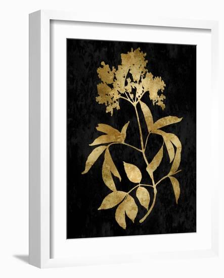 Nature Gold on Black V-Danielle Carson-Framed Art Print