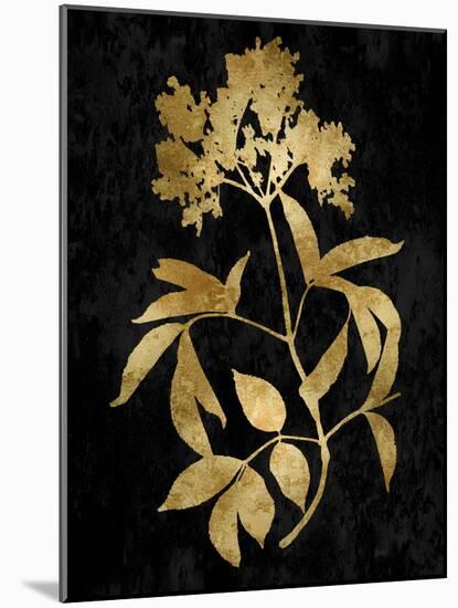 Nature Gold on Black V-Danielle Carson-Mounted Art Print