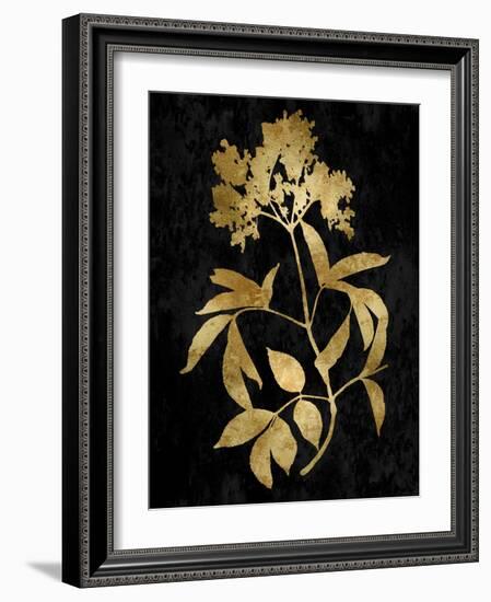 Nature Gold on Black V-Danielle Carson-Framed Art Print