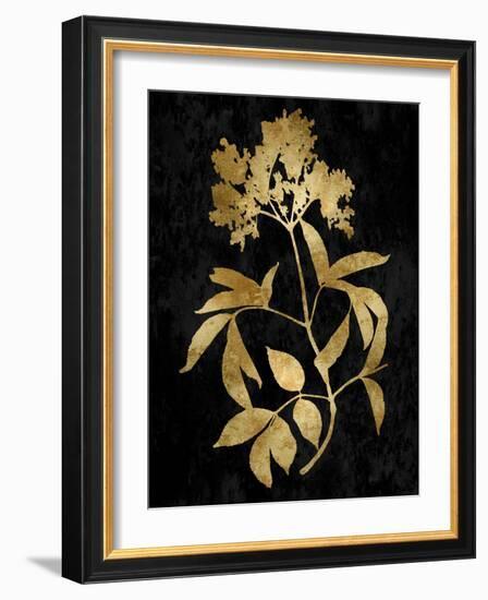 Nature Gold on Black V-Danielle Carson-Framed Art Print