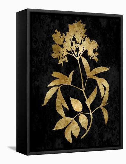 Nature Gold on Black V-Danielle Carson-Framed Stretched Canvas