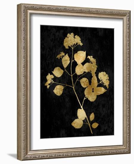 Nature Gold on Black VI-Danielle Carson-Framed Art Print