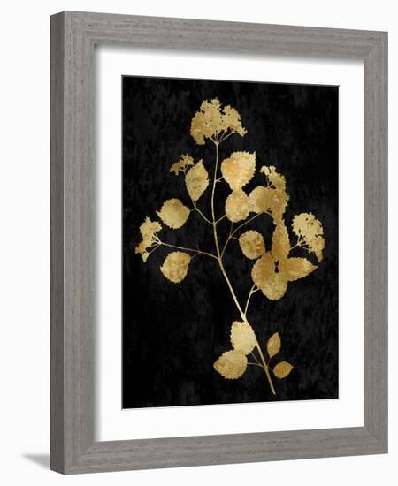 Nature Gold on Black VI-Danielle Carson-Framed Art Print