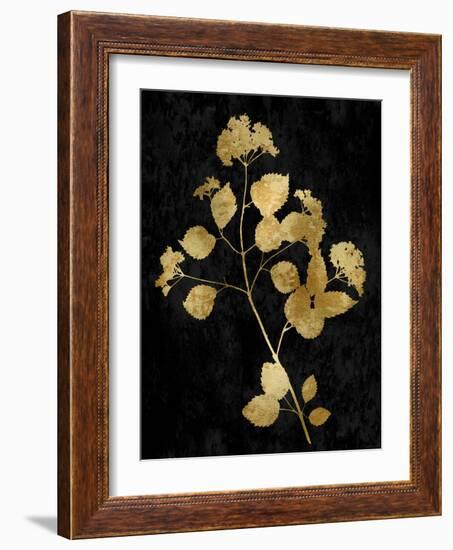 Nature Gold on Black VI-Danielle Carson-Framed Art Print