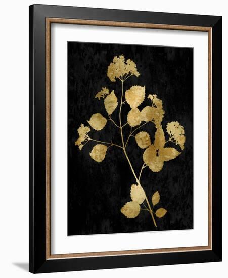 Nature Gold on Black VI-Danielle Carson-Framed Art Print