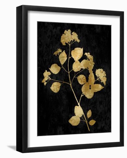 Nature Gold on Black VI-Danielle Carson-Framed Art Print