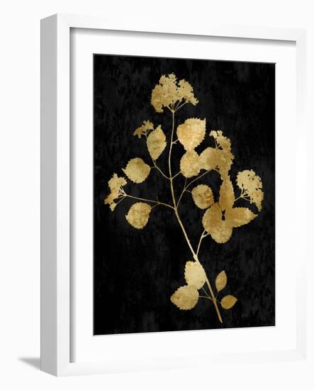 Nature Gold on Black VI-Danielle Carson-Framed Art Print