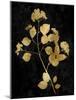 Nature Gold on Black VI-Danielle Carson-Mounted Art Print