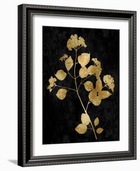 Nature Gold on Black VI-Danielle Carson-Framed Art Print