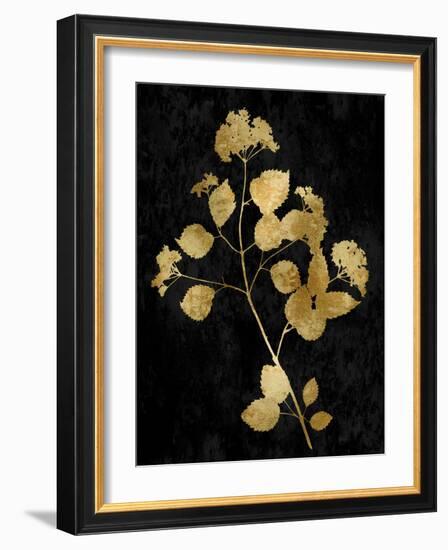 Nature Gold on Black VI-Danielle Carson-Framed Art Print