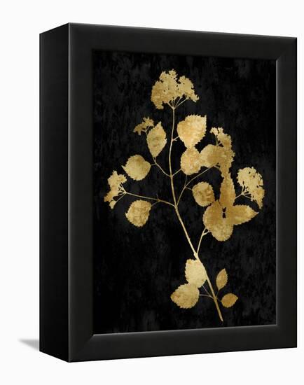 Nature Gold on Black VI-Danielle Carson-Framed Stretched Canvas