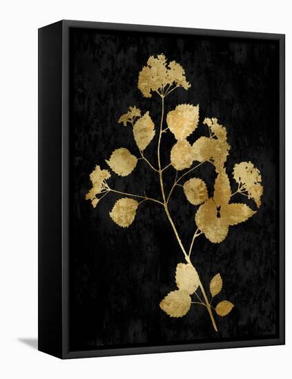 Nature Gold on Black VI-Danielle Carson-Framed Stretched Canvas