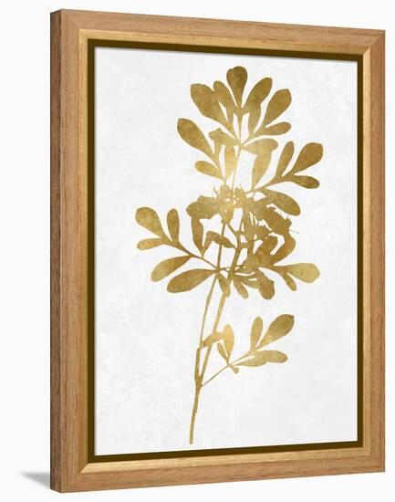 Nature Gold on White II-Danielle Carson-Framed Stretched Canvas