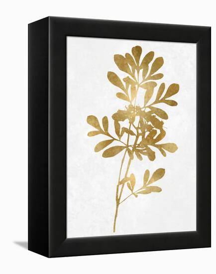 Nature Gold on White II-Danielle Carson-Framed Stretched Canvas