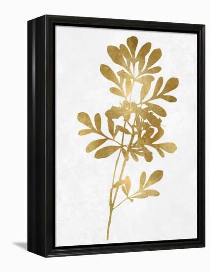 Nature Gold on White II-Danielle Carson-Framed Stretched Canvas